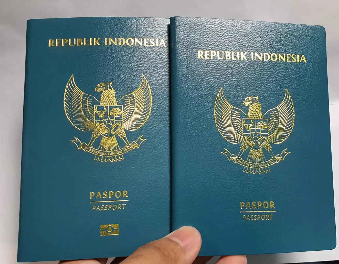 cara perpanjang paspor online offline paspor mati 6 bulan
